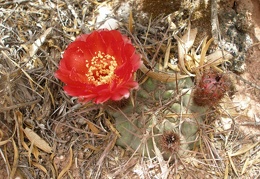 P1016147