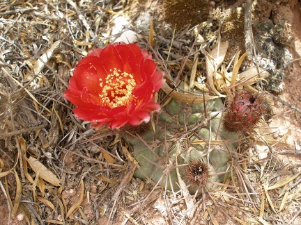 P1016147