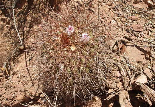 P1016148