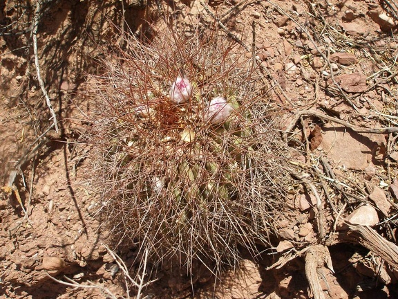 P1016148