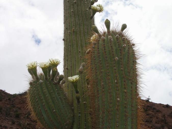 P1016153