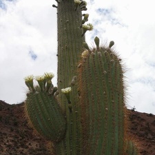 P1016153
