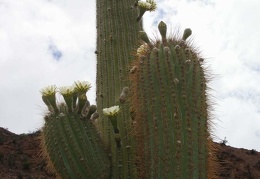 P1016153
