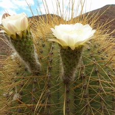 P1016155