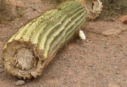 P1016159