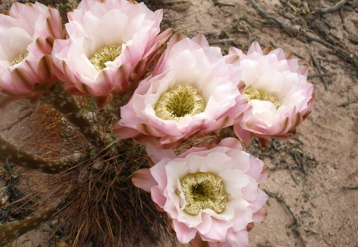P1016176