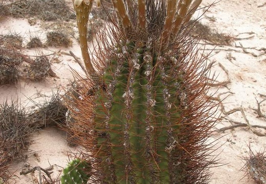 P1016177