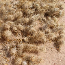 P1016178