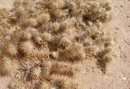 P1016178