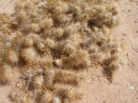 P1016178