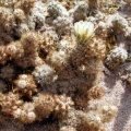 P1016179