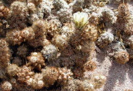 P1016179