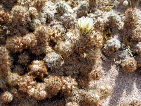 P1016179