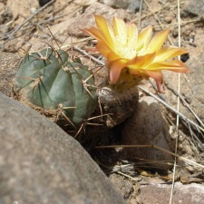 P1016201