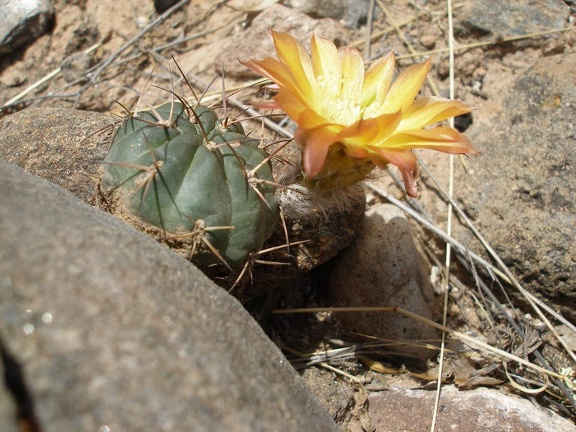 P1016201