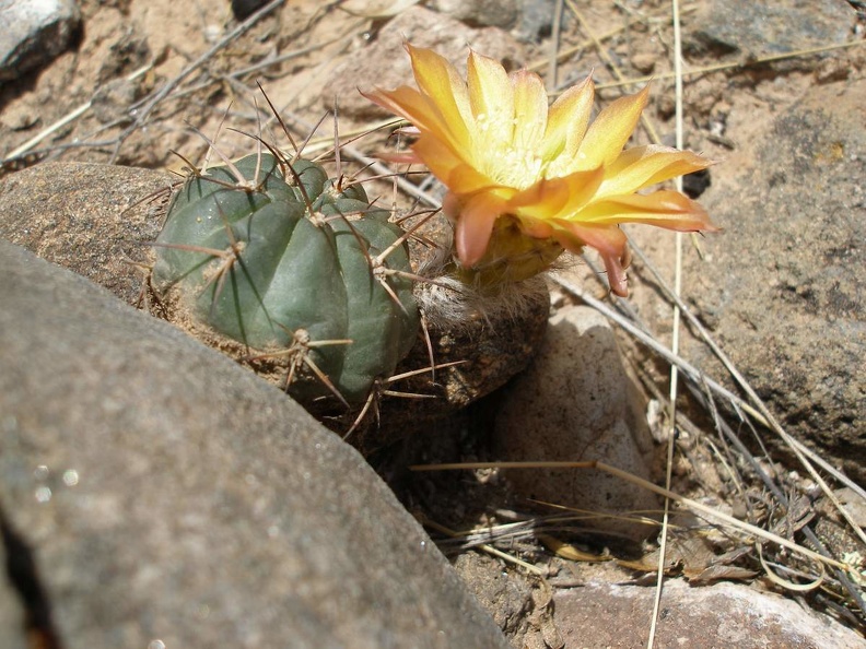 P1016201.JPG