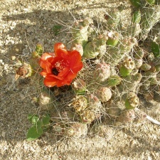 P1016219
