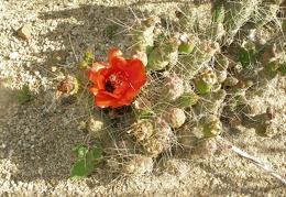 P1016219