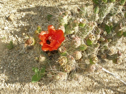 P1016219
