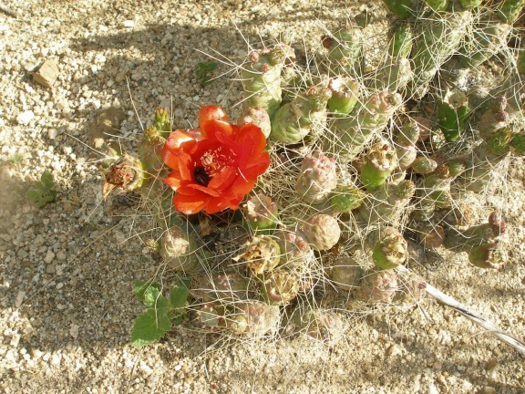 P1016219