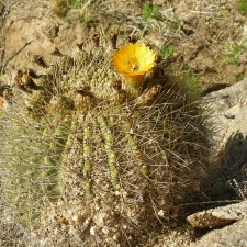P1016221