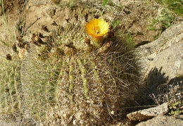 P1016221