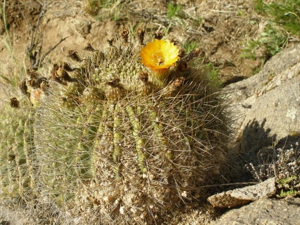 P1016221