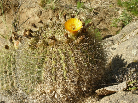 P1016221