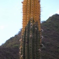 P1016232