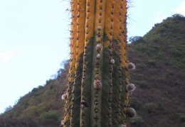 P1016232