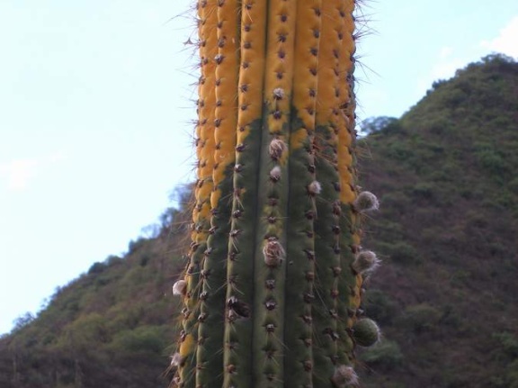 P1016232