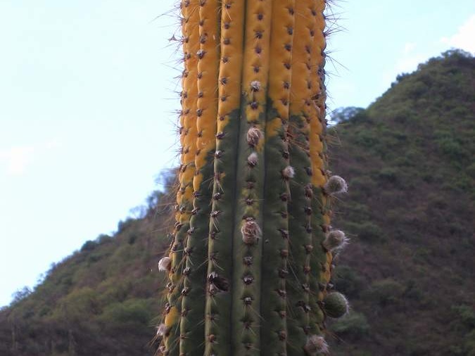 P1016232