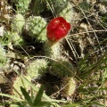 P1016237