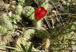 P1016237