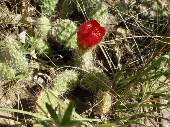P1016237