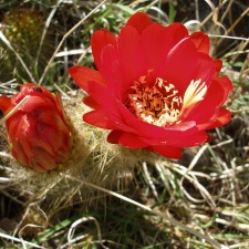 P1016241
