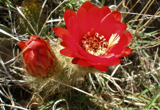 P1016241