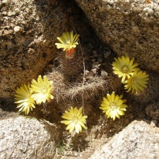 P1016248