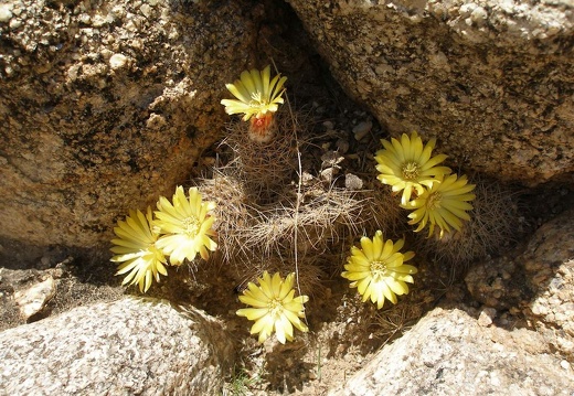 P1016248