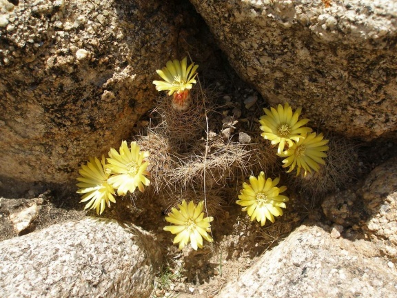 P1016248