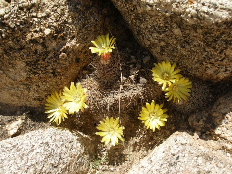 P1016248
