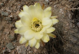P1016266