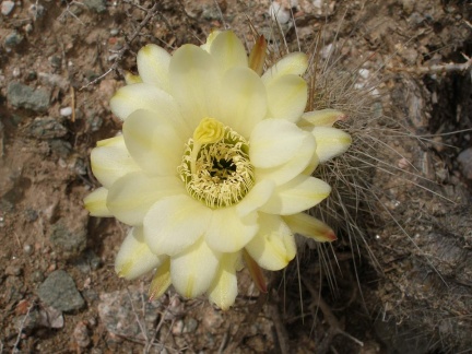 P1016266