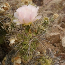P1016267