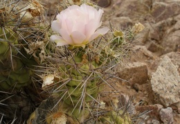 P1016267