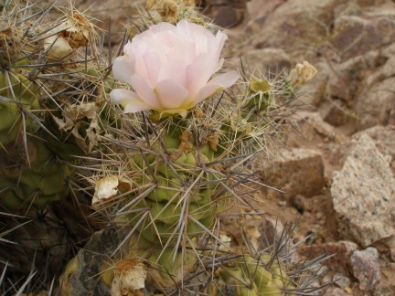 P1016267
