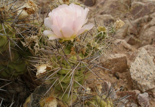 P1016267