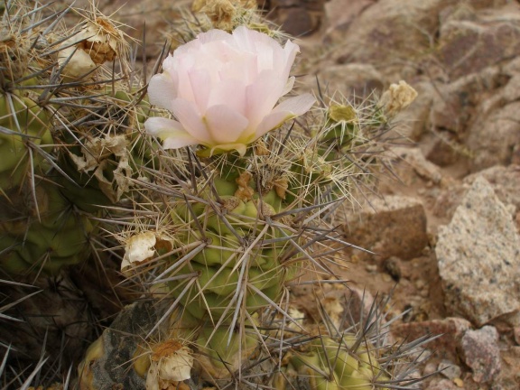 P1016267