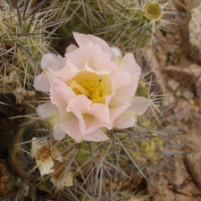 P1016268