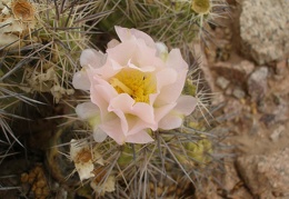 P1016268